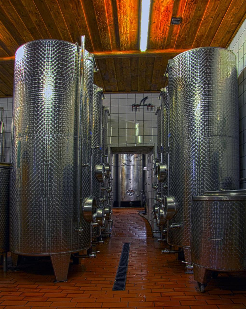 Ferienwohnung Am Weingut Eisenbock Strass  Exterior foto